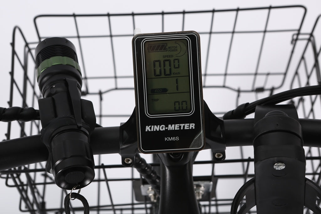 Catalina 48V Beach Cruiser E-Bike — 500W Motor, Long Range Step-Through Comfort Bike