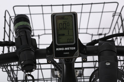 Catalina 48V Beach Cruiser E-Bike — 500W Motor, Long Range Step-Through Comfort Bike