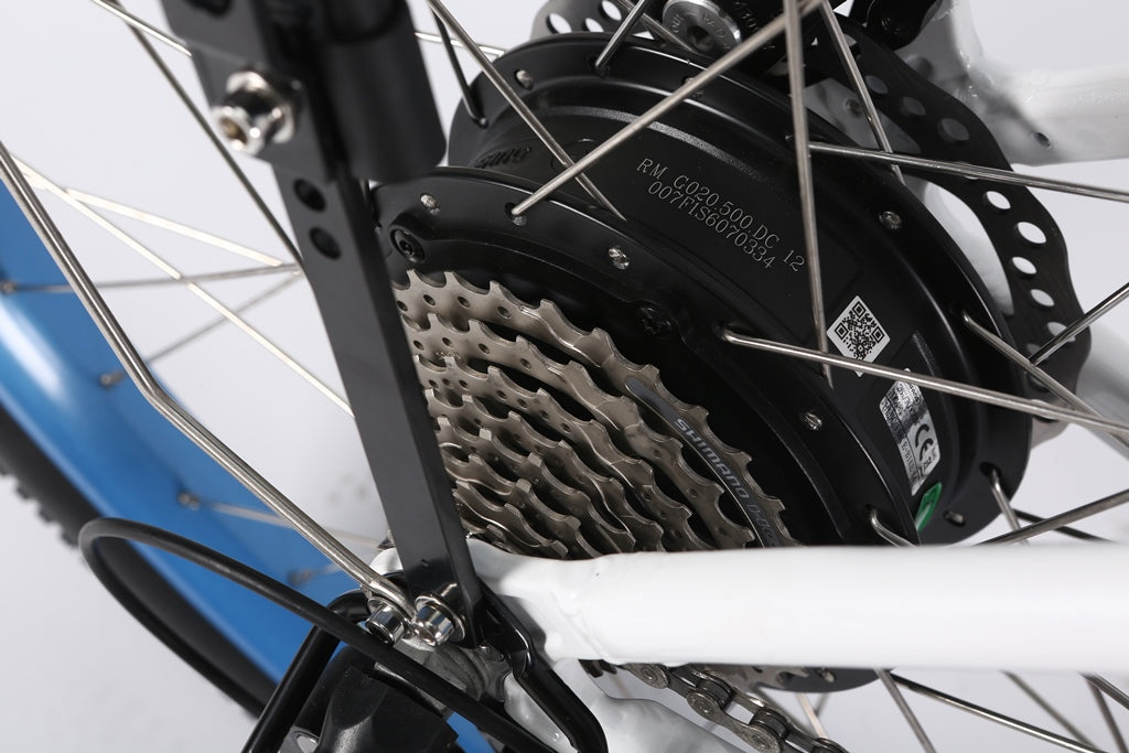 Catalina 48V Beach Cruiser E-Bike — 500W Motor, Long Range Step-Through Comfort Bike