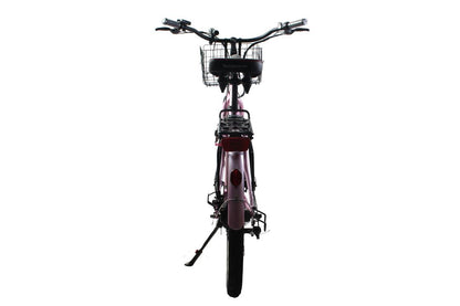 Malibu Elite Max Beach Cruiser E-Bike — 36V 350W, 30+ Mile Range