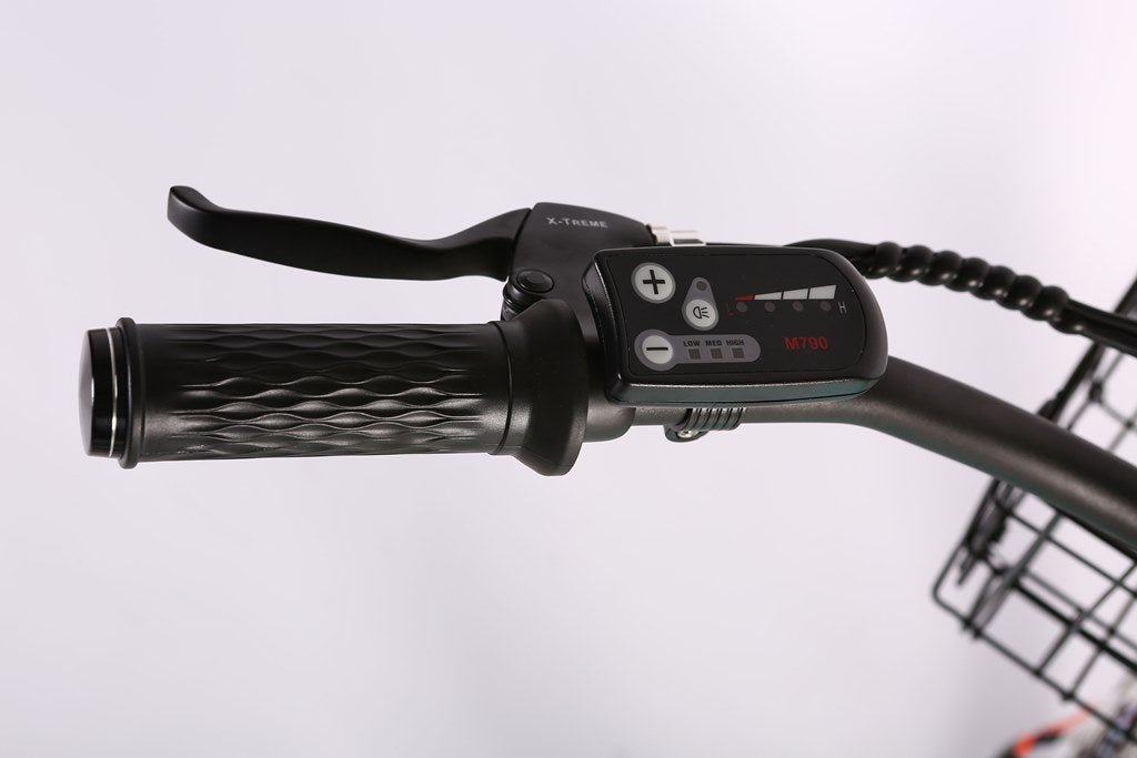 Malibu Elite Max Beach Cruiser E-Bike — 36V 350W, 30+ Mile Range