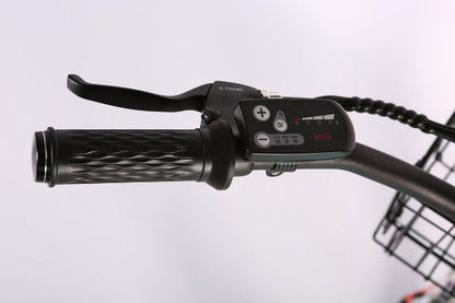 Malibu Elite Max Beach Cruiser E-Bike — 36V 350W, 30+ Mile Range
