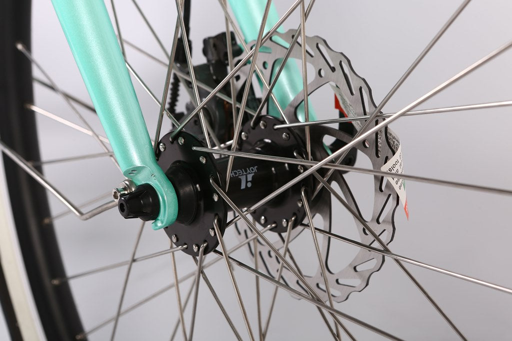 Malibu Elite Max Beach Cruiser E-Bike — 36V 350W, 30+ Mile Range
